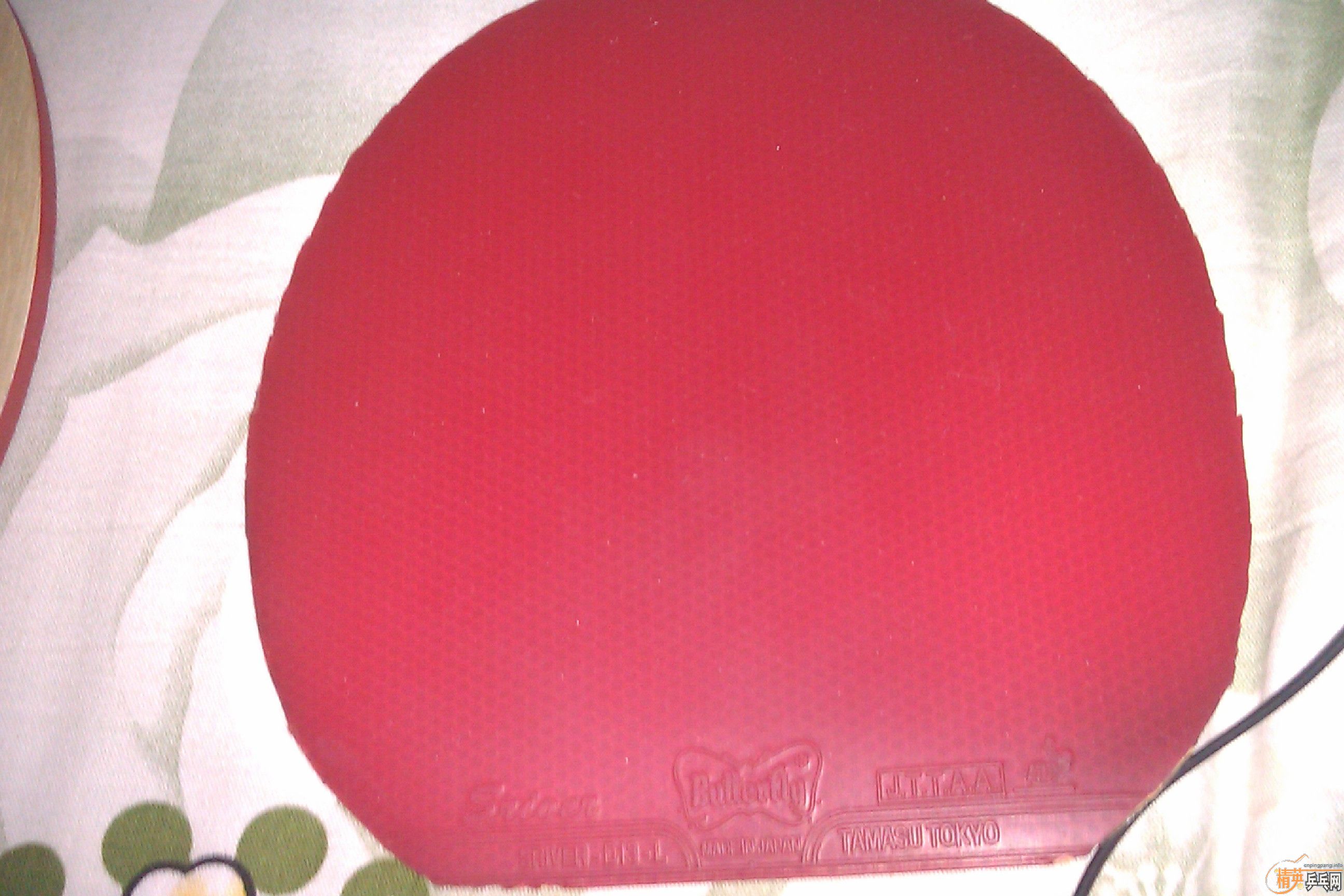 �ͼ۳��㶫������