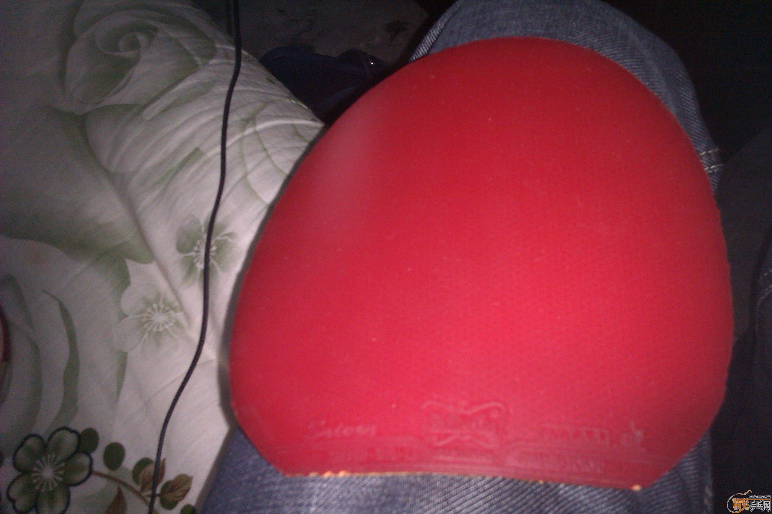 �ͼ۳��㶫������