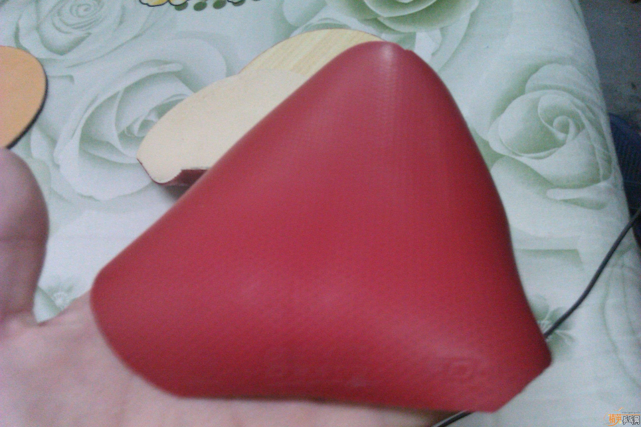 �ͼ۳��㶫������