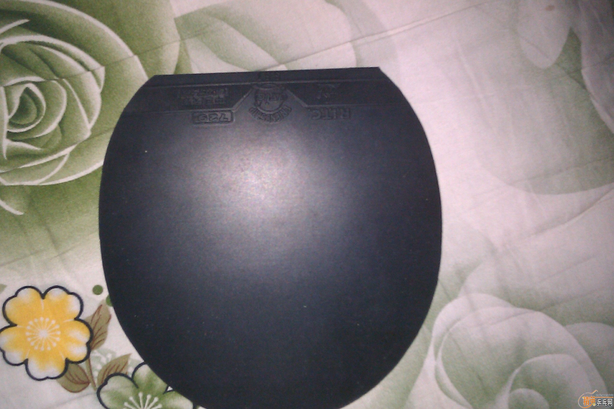 �ͼ۳��㶫������