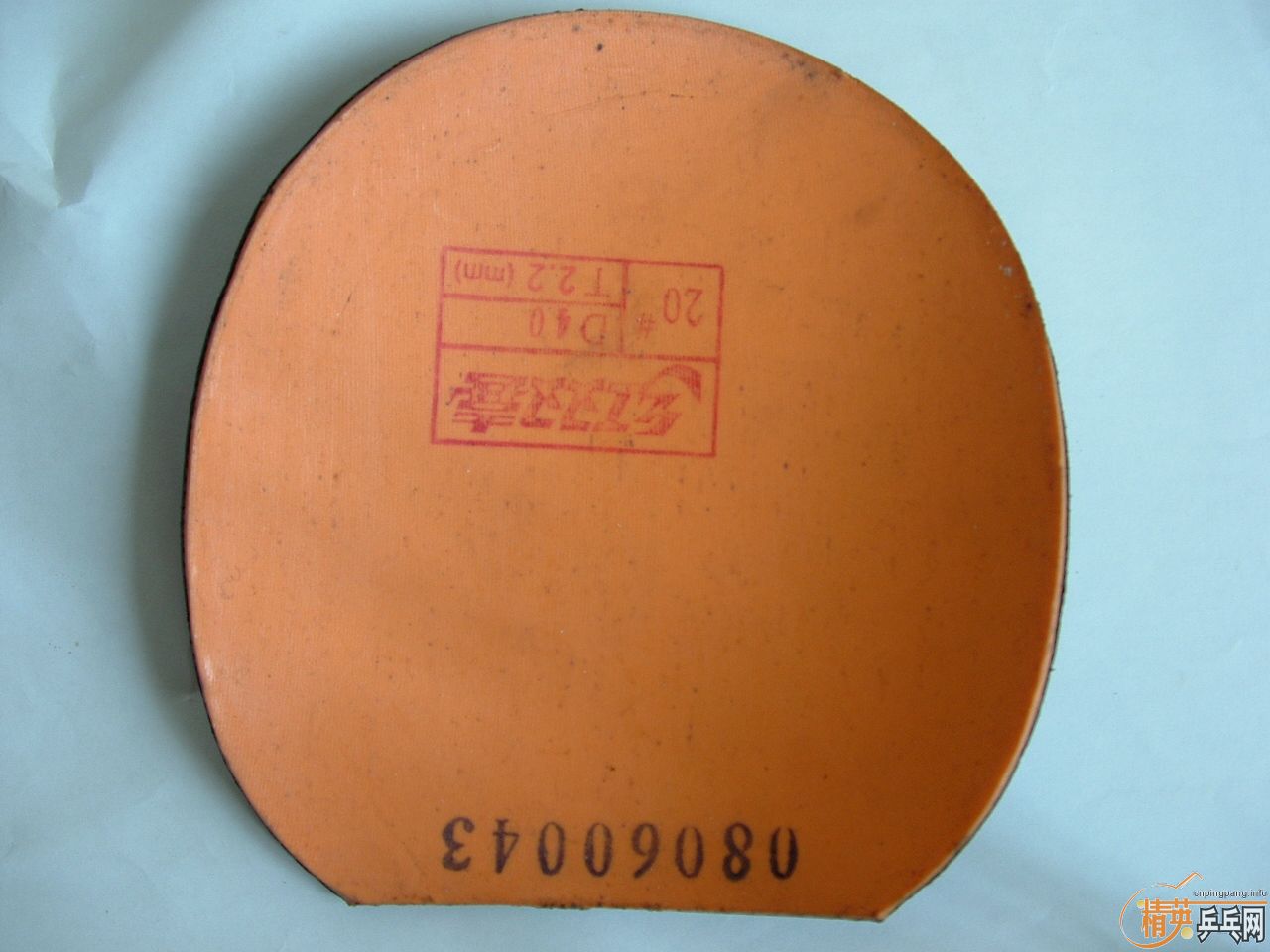 ���������ʡ�� �ϵ���ƭ�ˣ���ҿ�����һ�