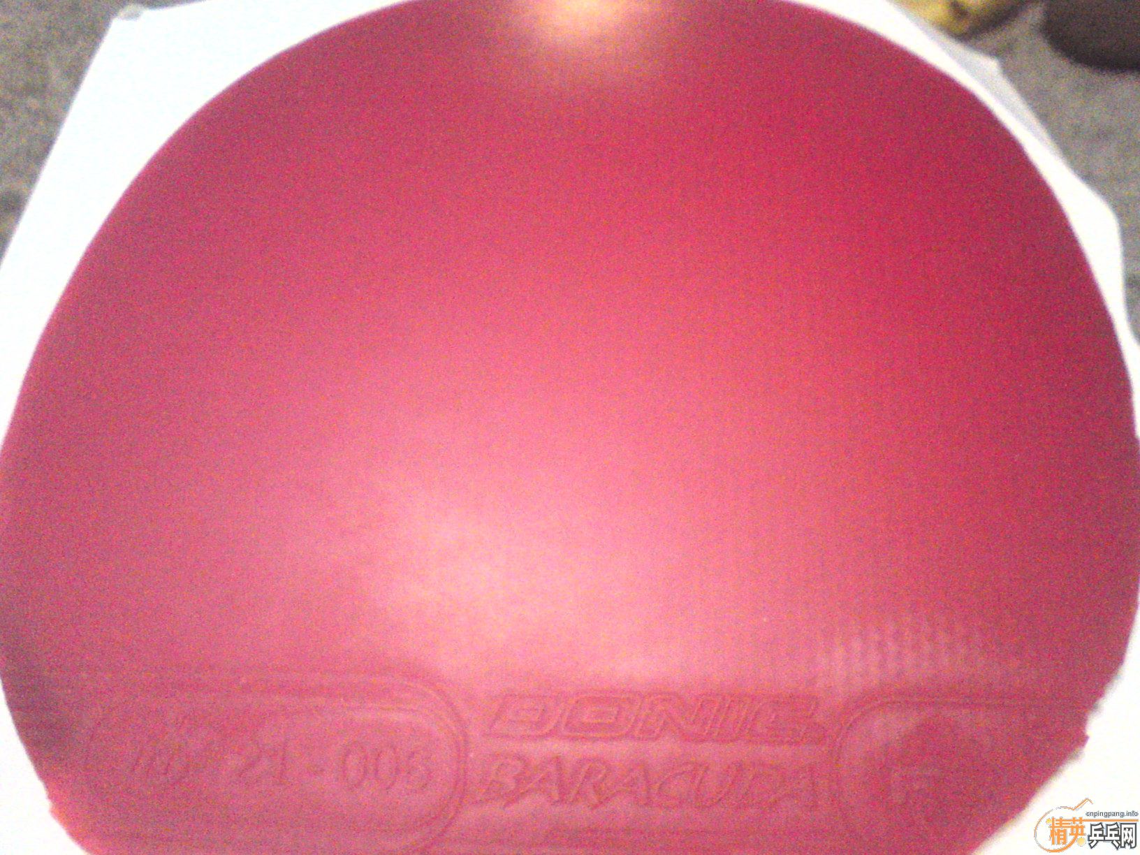 ���� �� innerforce zlf   T64   ����B ����