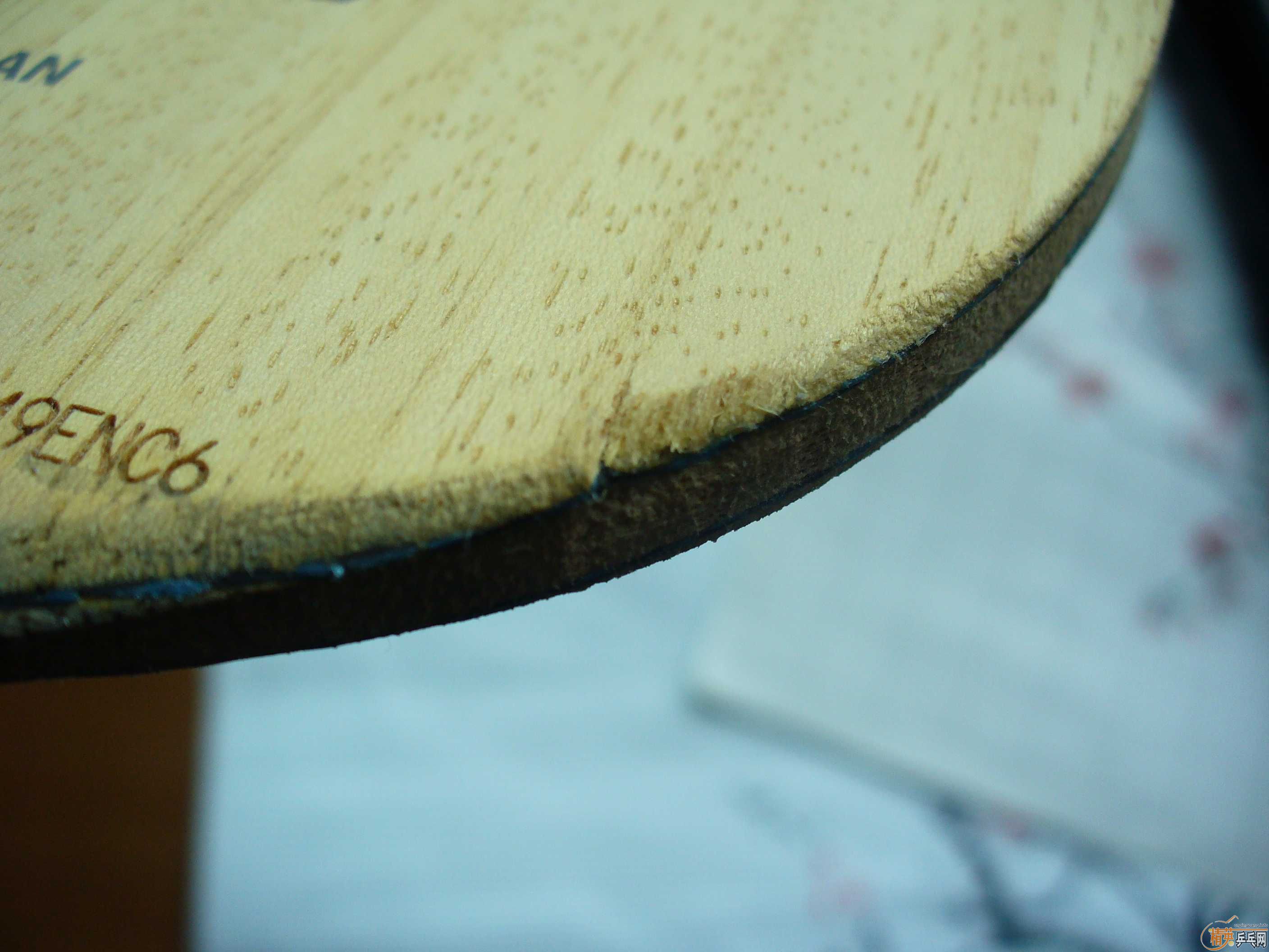 ������ά˹������VISCARIA-LIGHT ��ֱ�壬��ͼ��