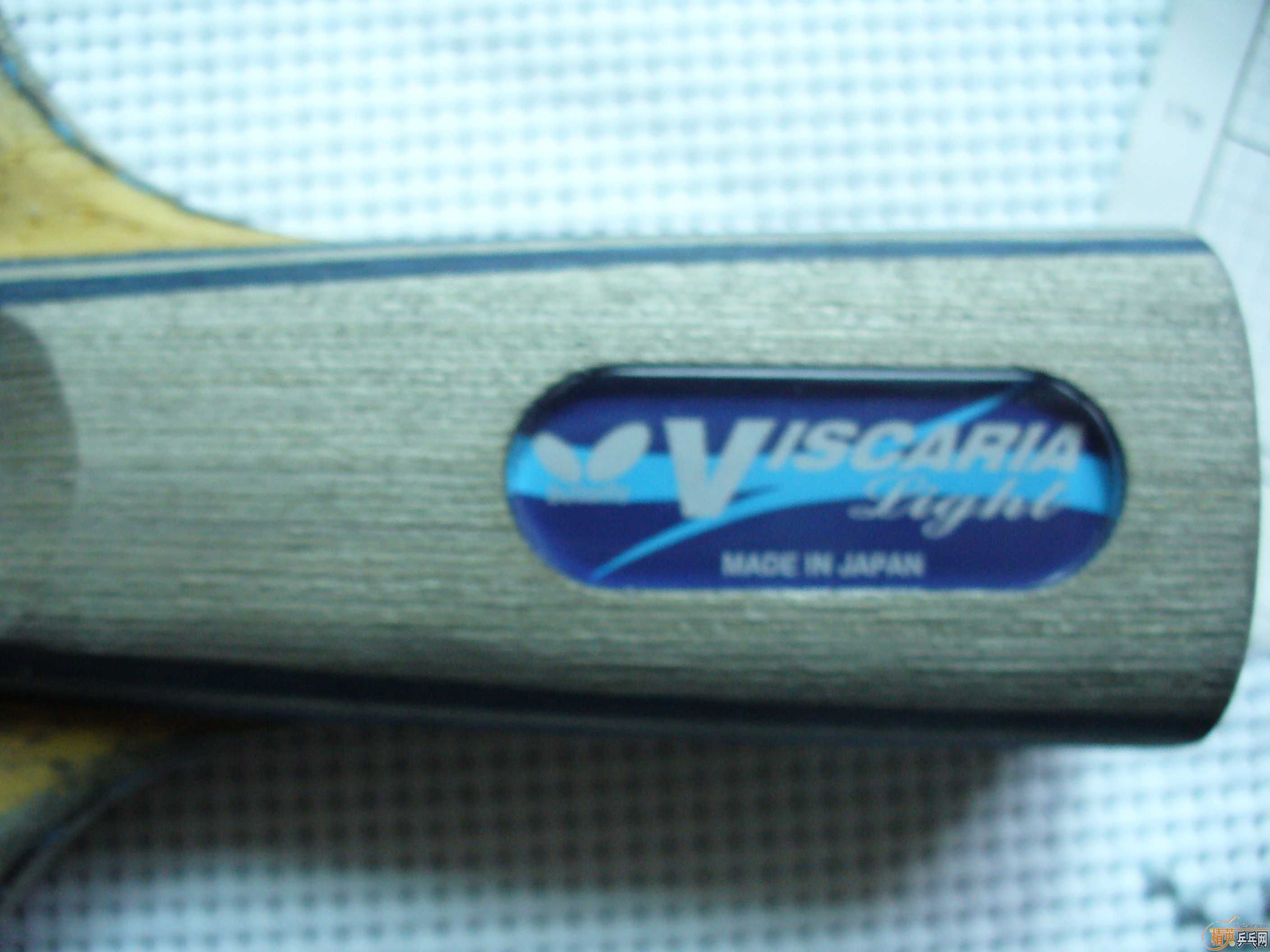 ������ά˹������VISCARIA-LIGHT ��ֱ�壬��ͼ��