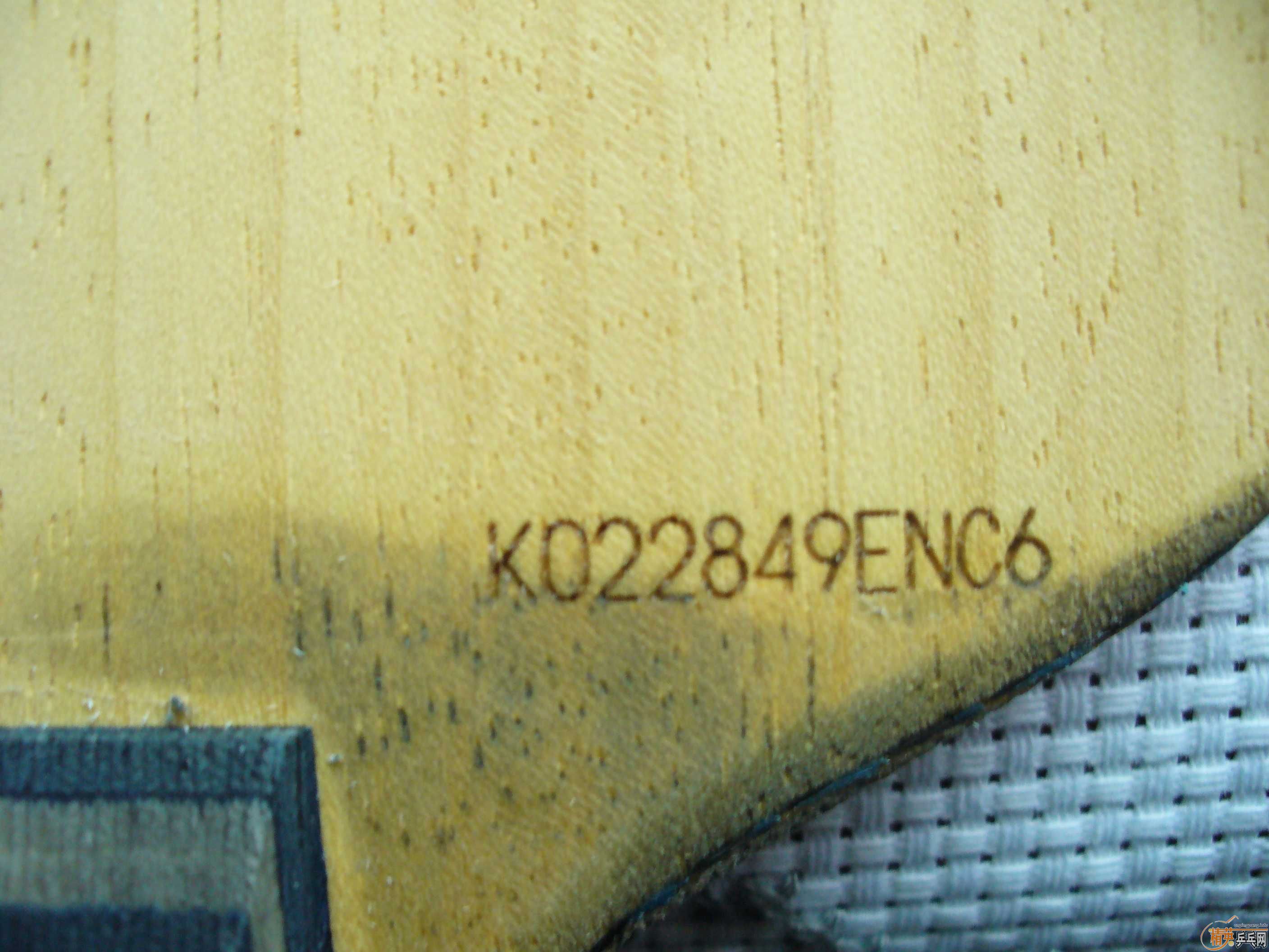 ������ά˹������VISCARIA-LIGHT ��ֱ�壬��ͼ��