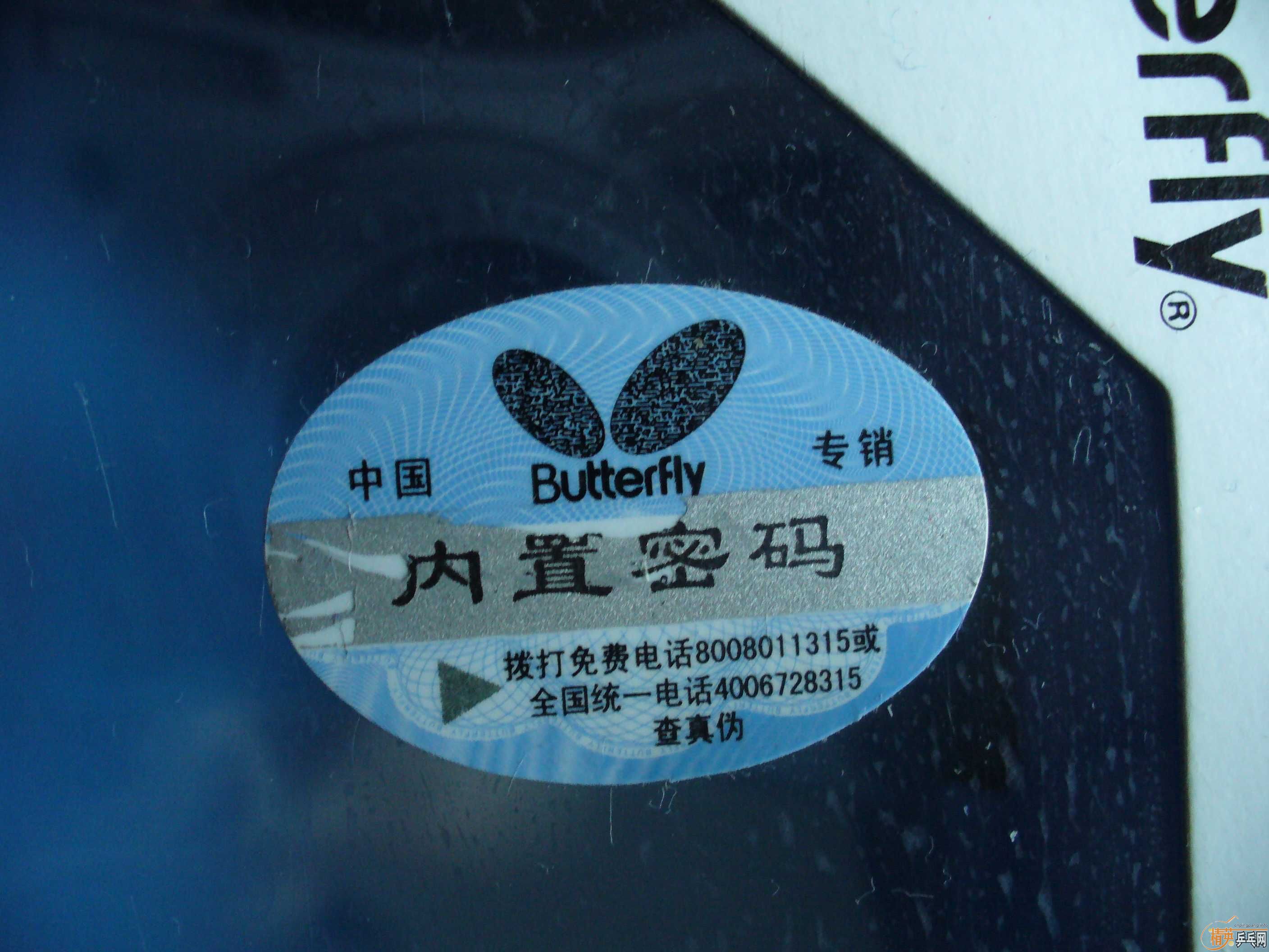 ������ά˹������VISCARIA-LIGHT ��ֱ�壬��ͼ��