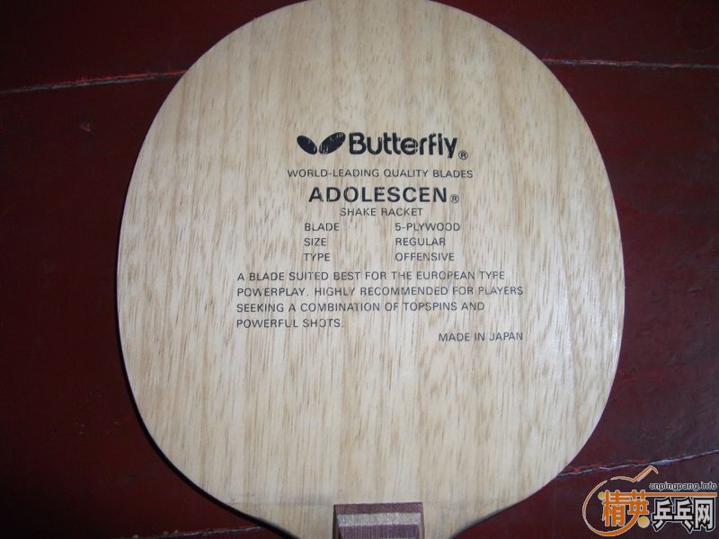 ��������ƺ�ʯ���Ѵ�FL