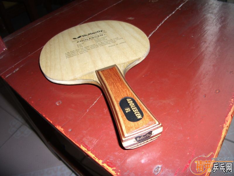 ��������ƺ�ʯ���Ѵ�FL