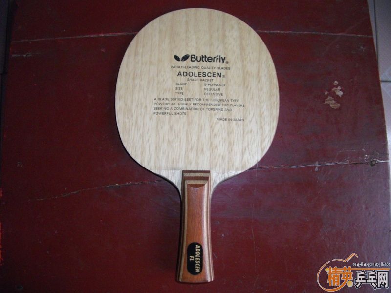 ��������ƺ�ʯ���Ѵ�FL