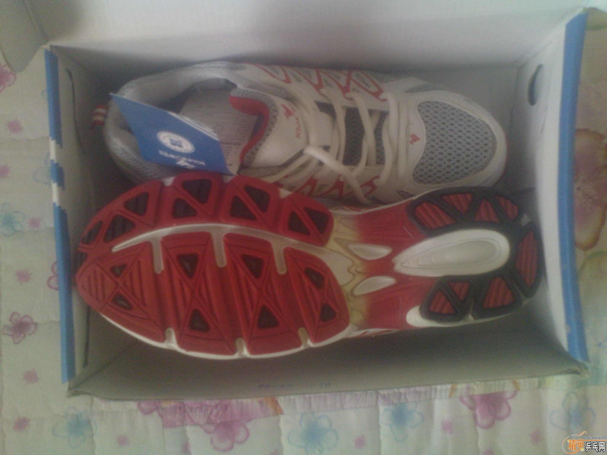 ���� ϵ�� ���ת��