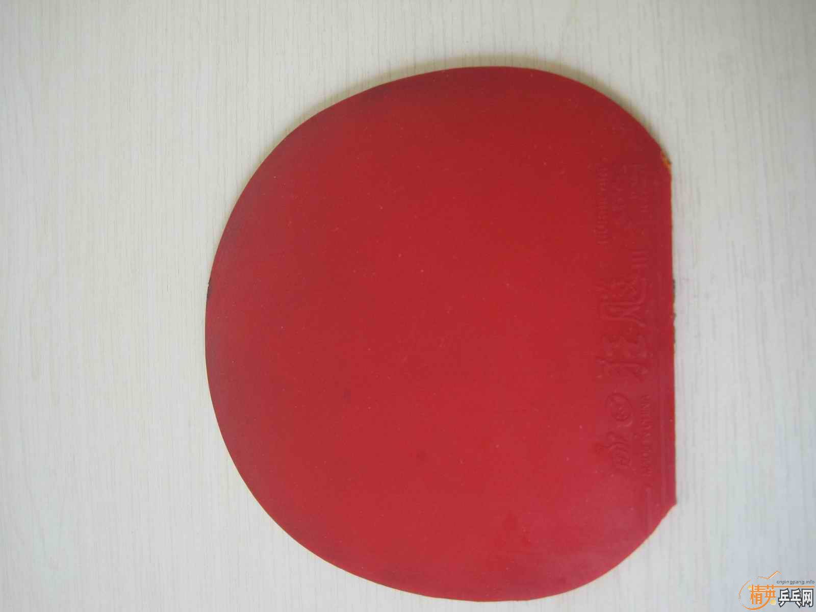 310��ͦ������+ʡ��+PALIO,��һ��ֱ��