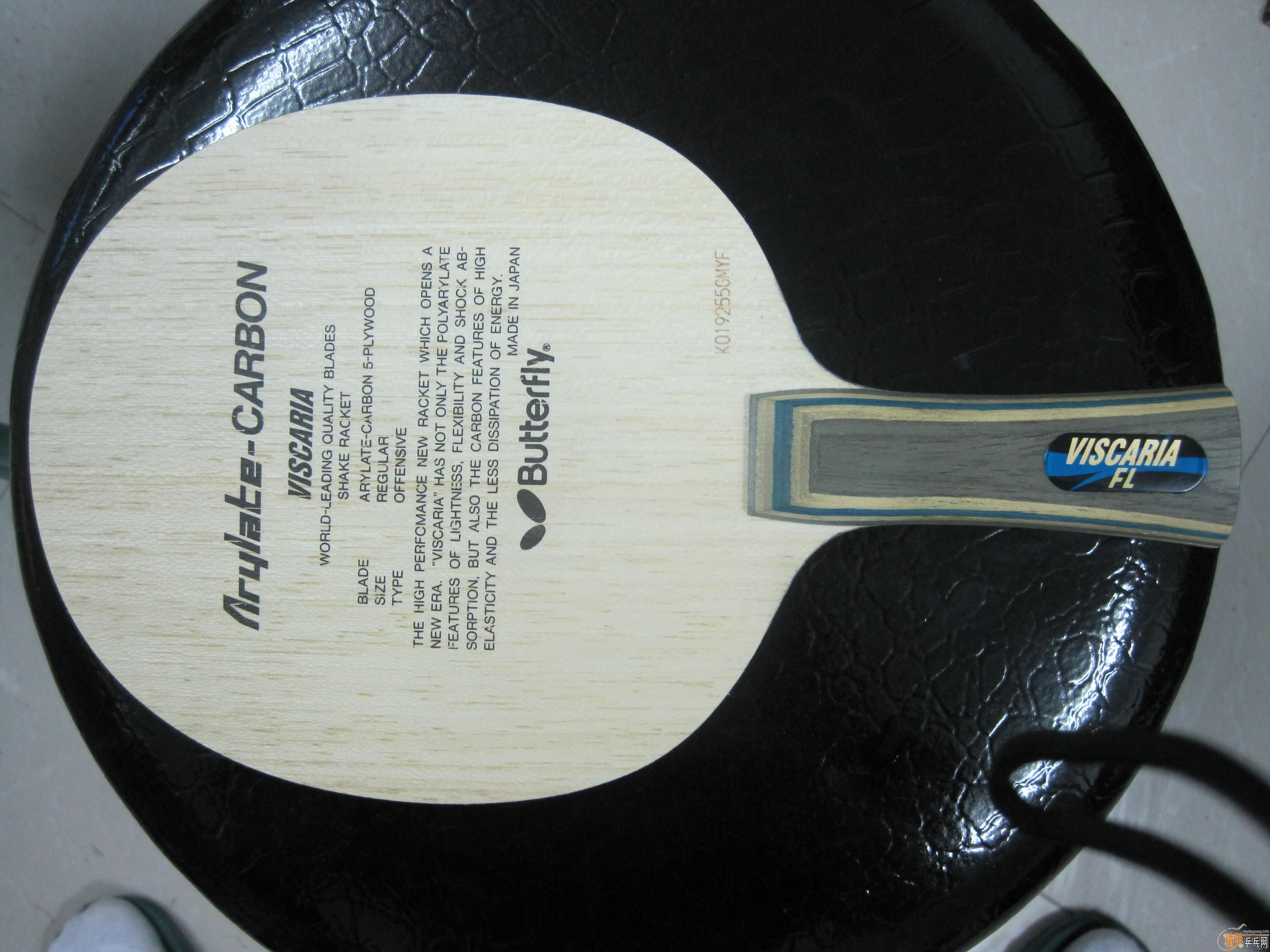 ��9.5�º�����