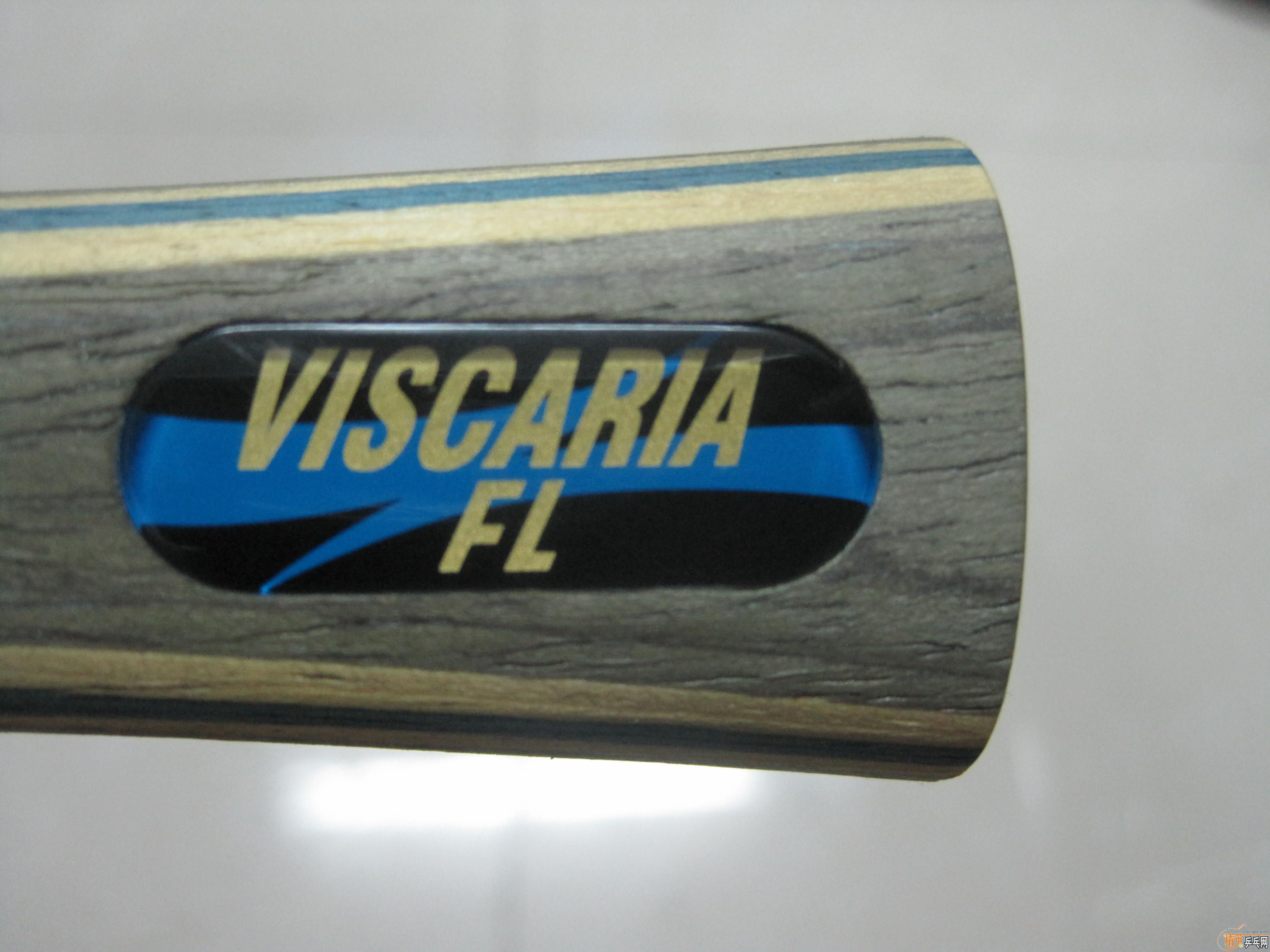 ��9.5�º�����