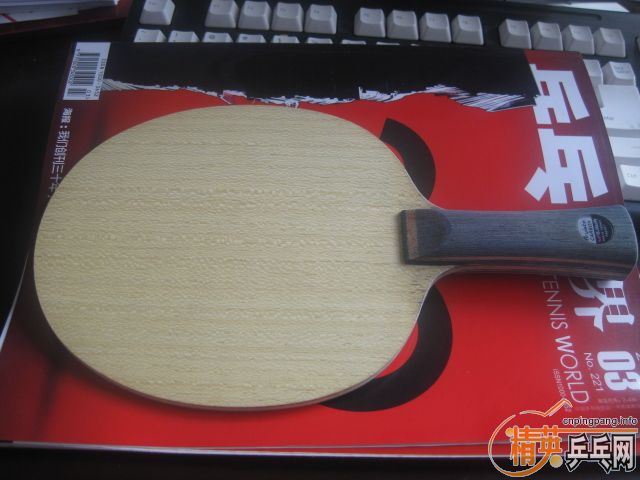 ���ճ���������˫�������ƣ���������p500