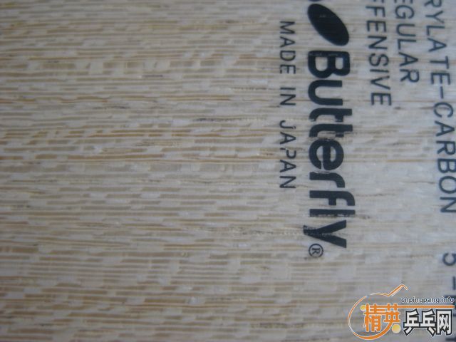 ���ճ���������˫�������ƣ���������p500