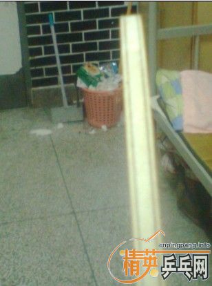 ������װ壬ST��̼������~~~~~~