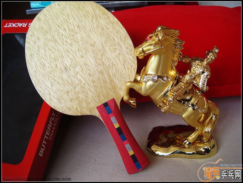 ����˹�أ���ɫ��P500���������Baracuda