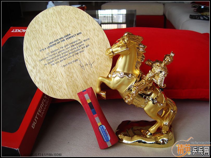 ����˹�أ���ɫ��P500���������Baracuda