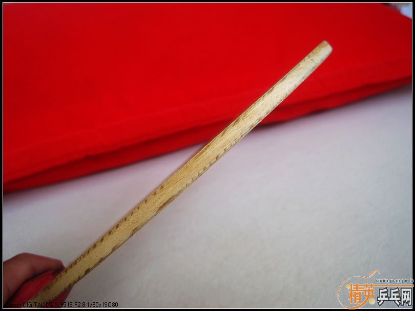 ����˹�أ���ɫ��P500���������Baracuda