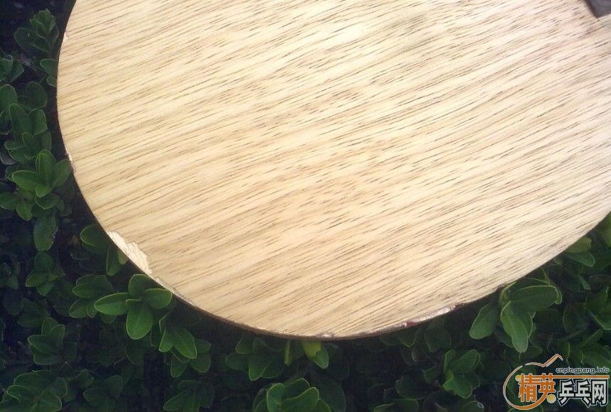 ��ʤ�л�cl������7��