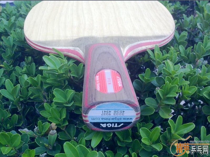 ��ʤ�л�cl������7��