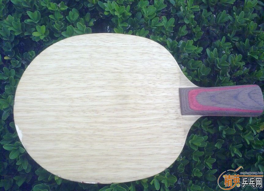 ��ʤ�л�cl������7��