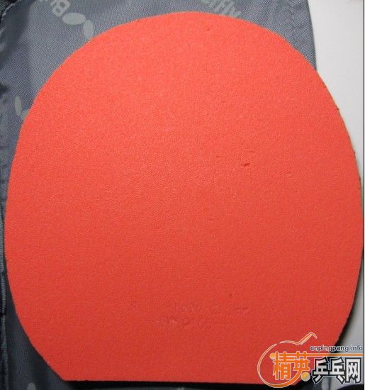 ��ɫ�ż̿ƹ����ͺ�ɫרҵ��05