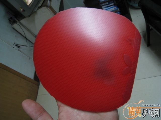 ������T-8��������