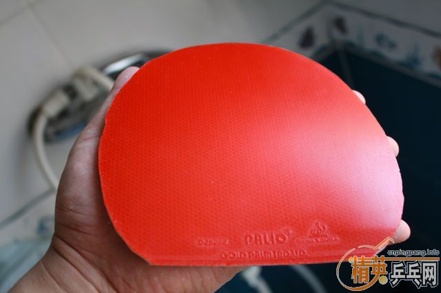 ��˹̼�س����߻���������������֧��֧������Ҫ���ٶ����ˣ�������