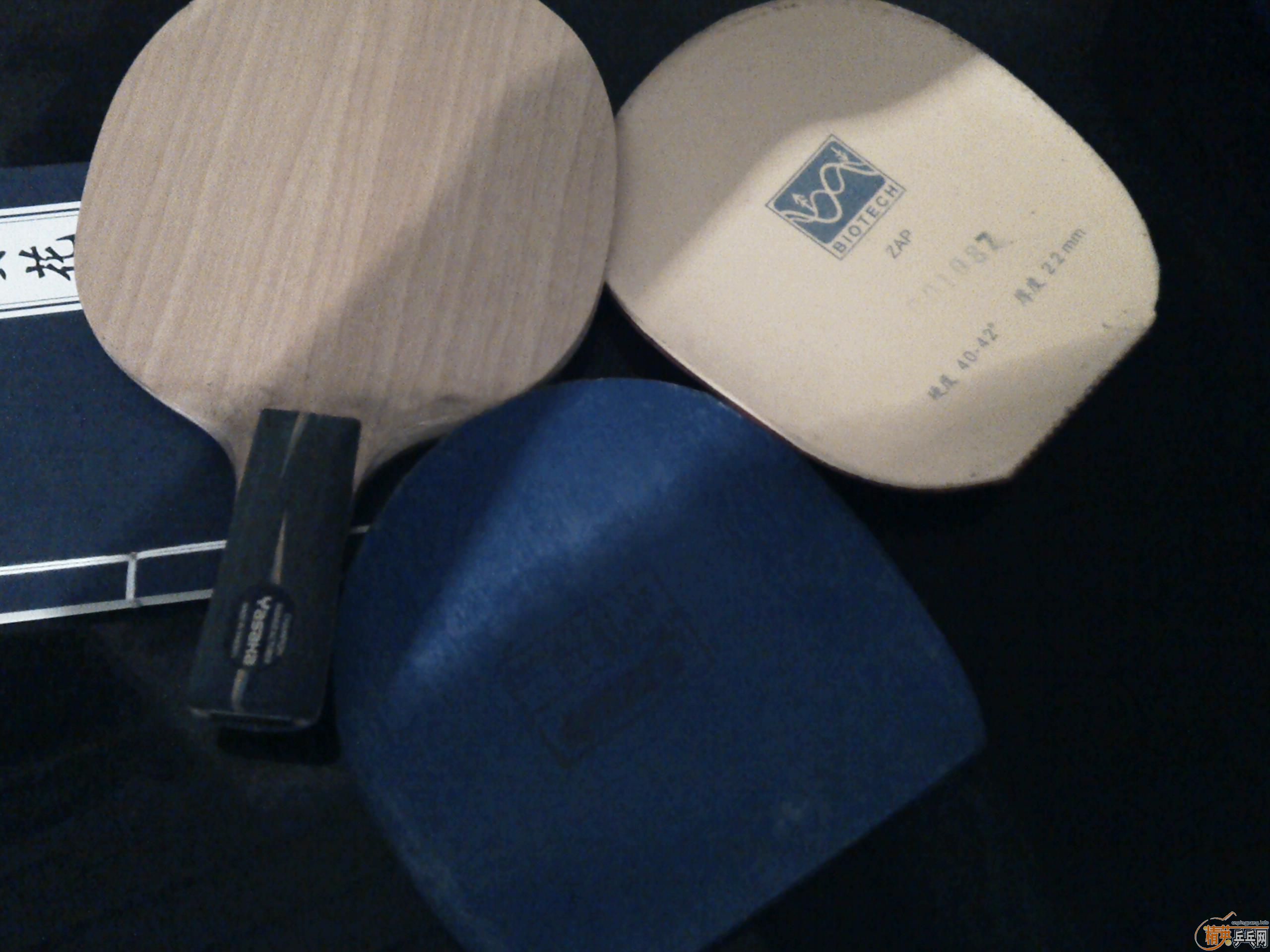 ���հ�YE~~~~~~~~~~~