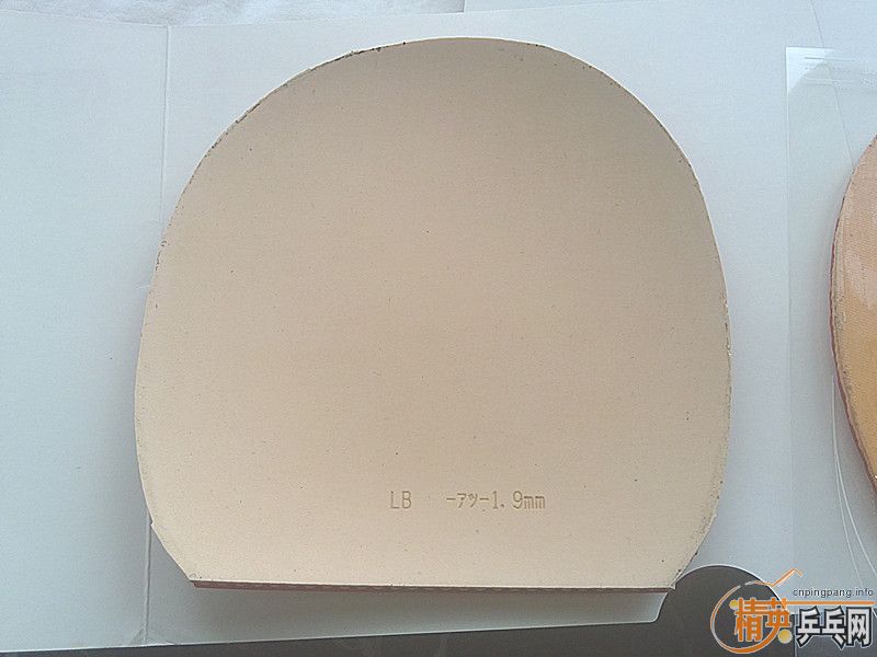 ��������С����99�¡�