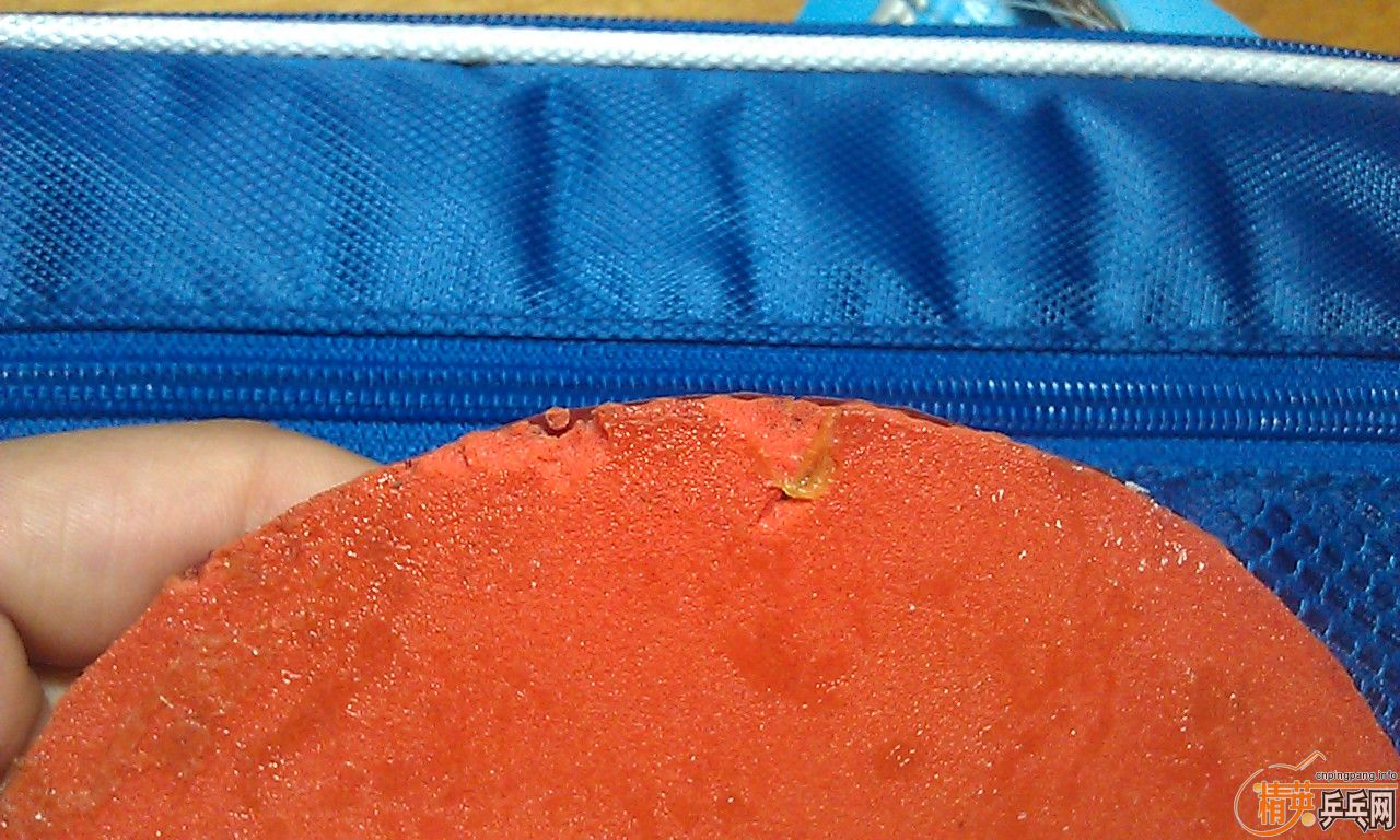 ��05��64��ʡ������׹���