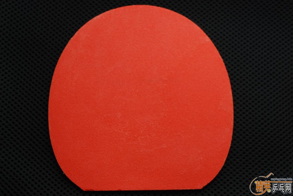 ����T05���졢�ڸ�һ