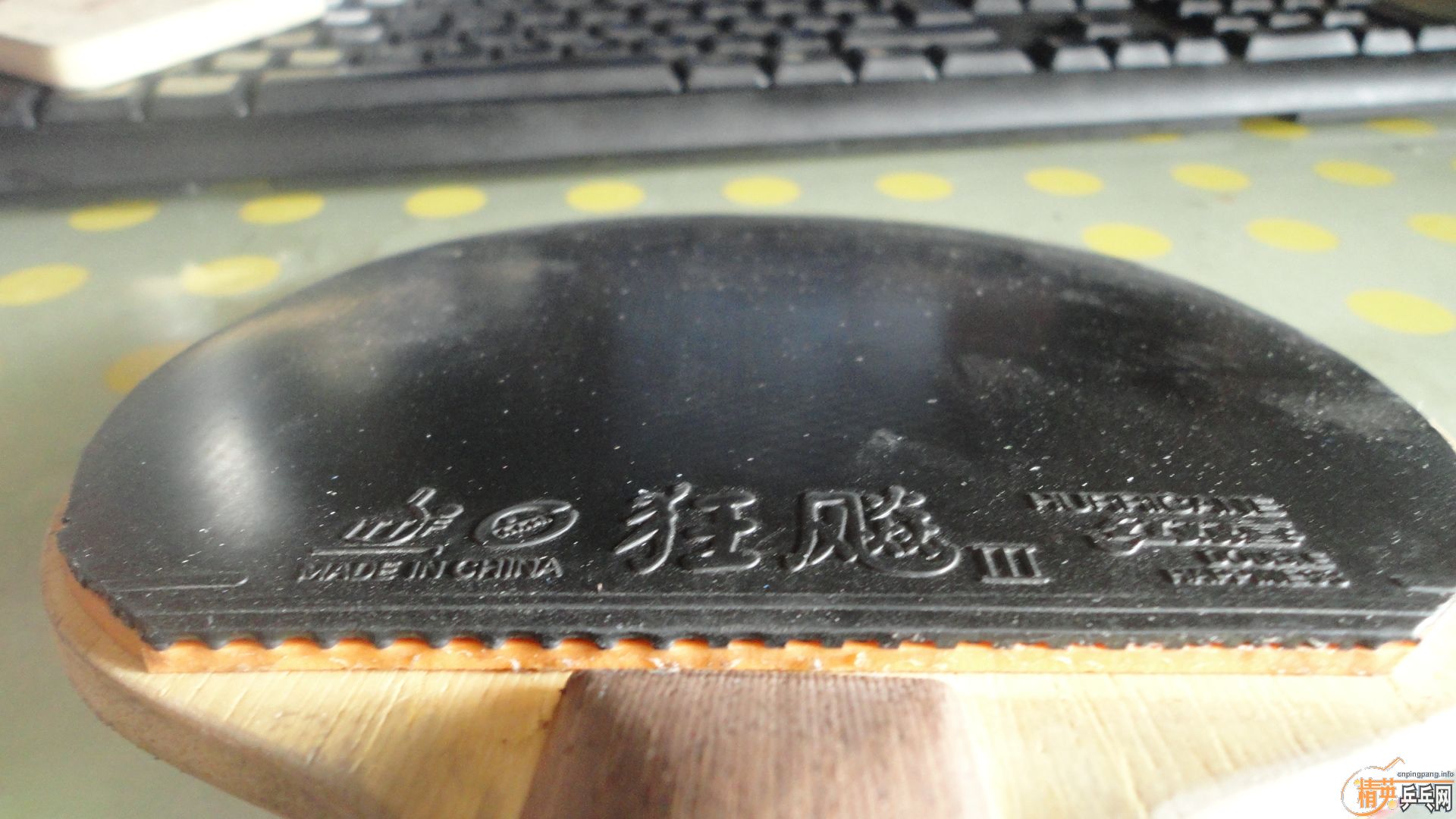 �����ѳ��Ѻ���ã��ӽ�Ƥ 190����