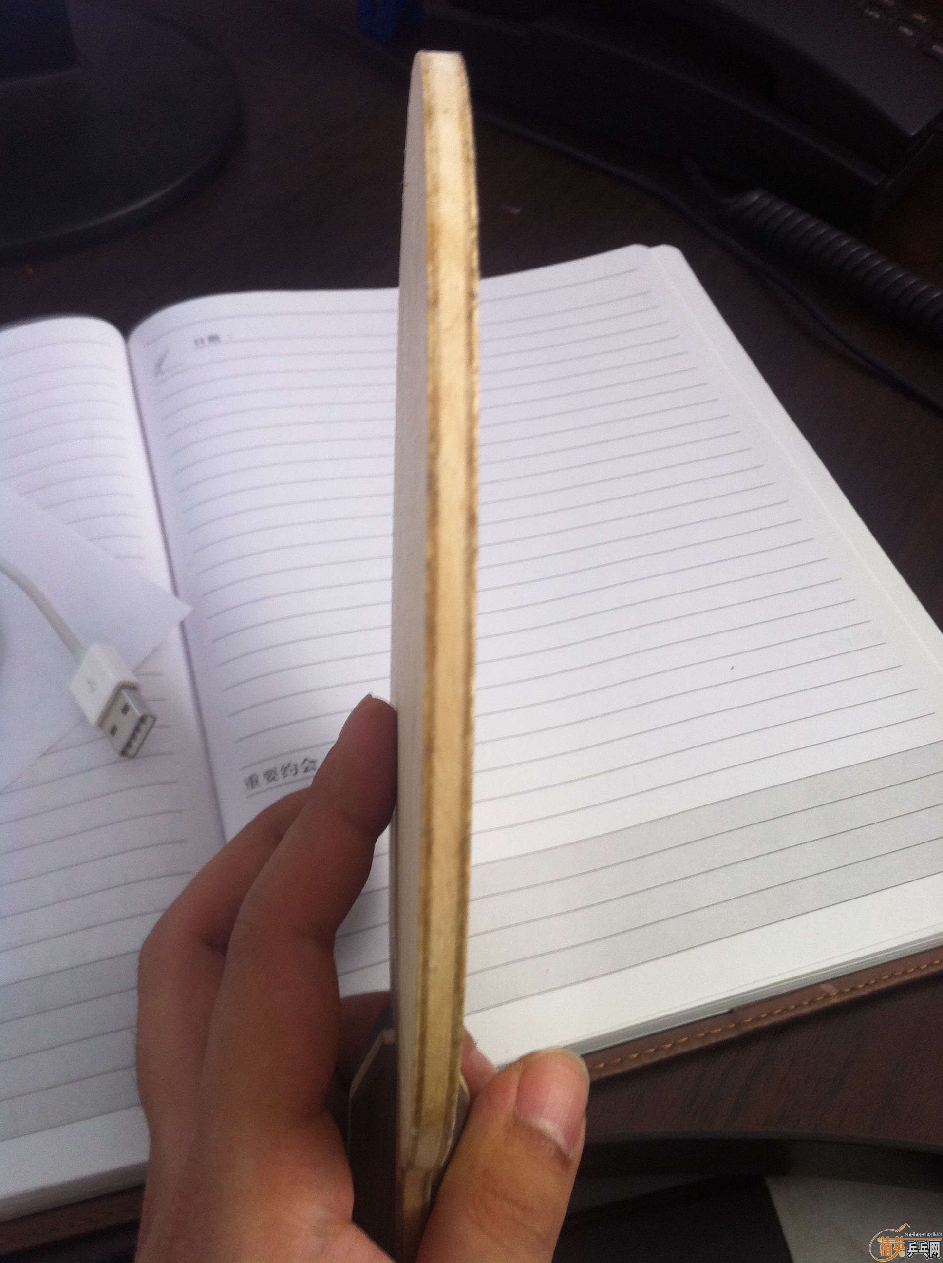 3��ֱ�壡ֻ��͵�~~~CL CR����������