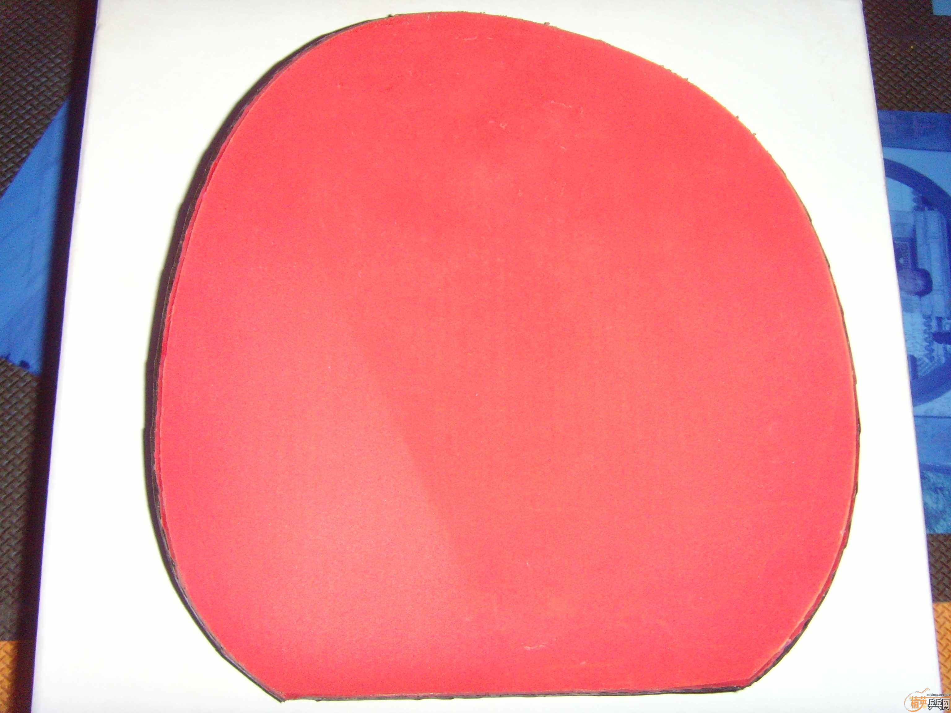 --Ϻ棬120ݣ