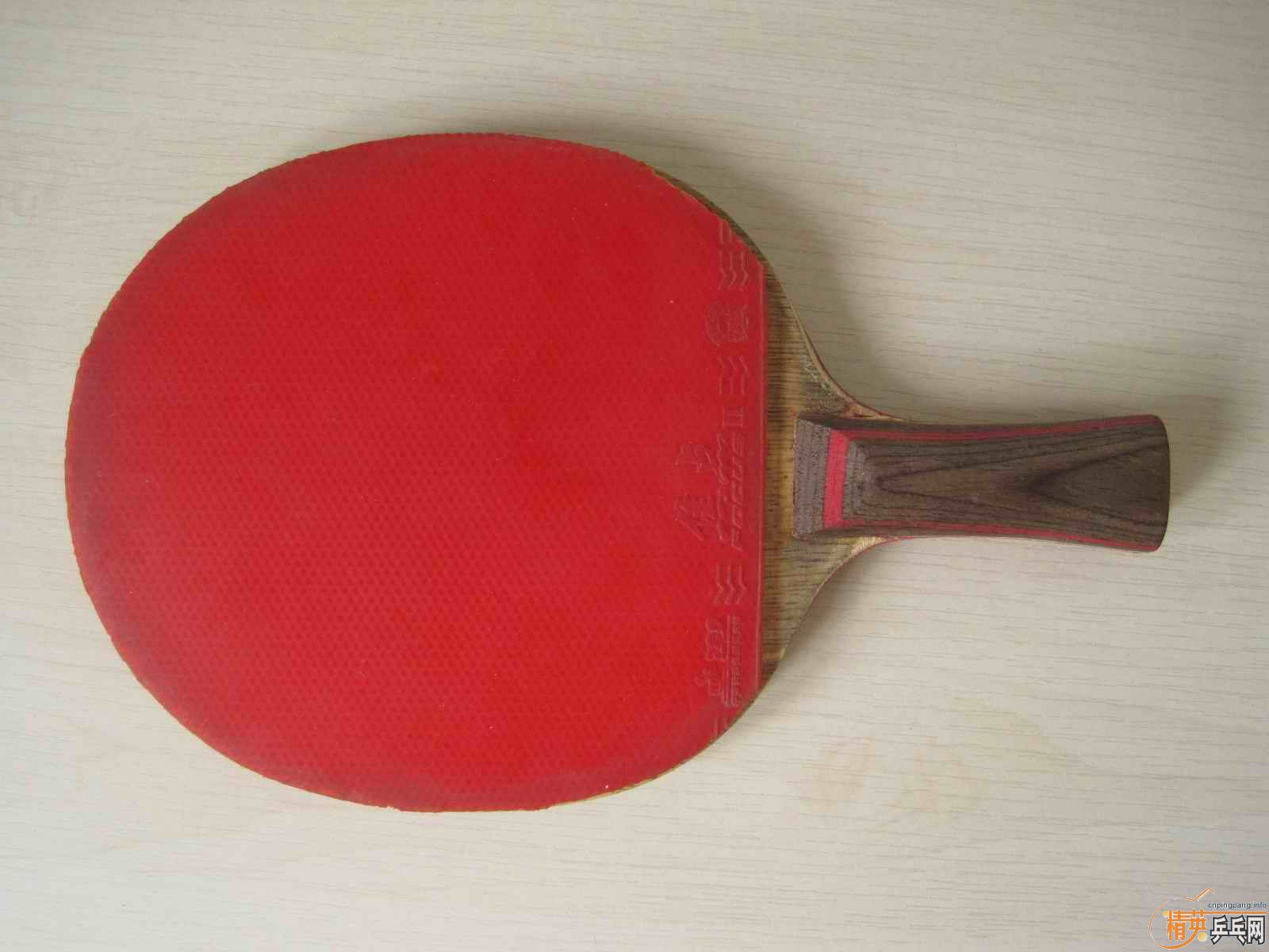 250���ʣ�������Ƥ��˹�ۿ�CL-CR�����ĸĵ�ֱ�ģ�