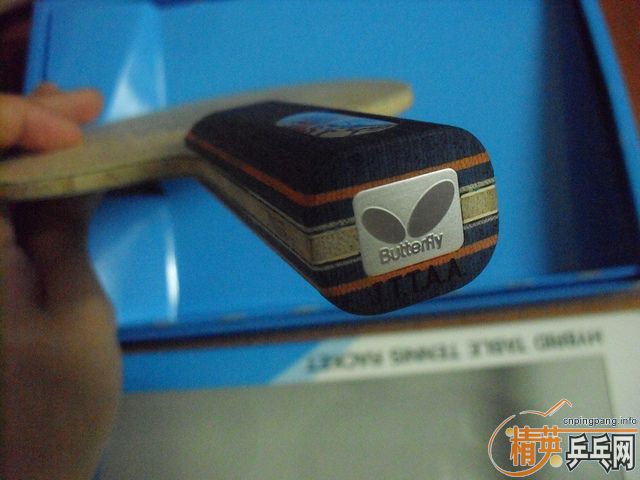 ���ϲ���,���������ST��Timo Boll Spirit,�ǳ�����