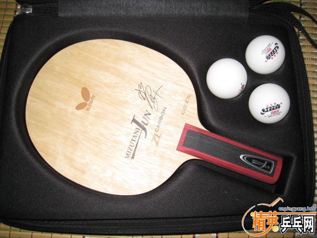 ���½��۳���֧���