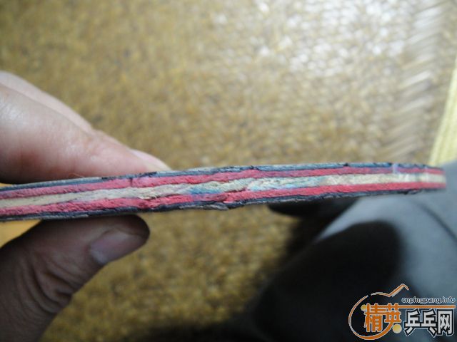 ����֧ŷ����̼��