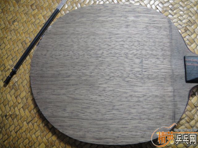 ����֧ŷ����̼��