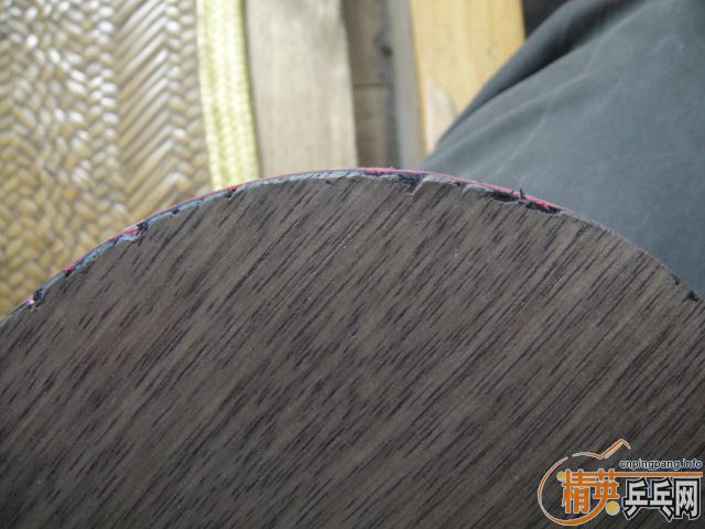 ����֧ŷ����̼��