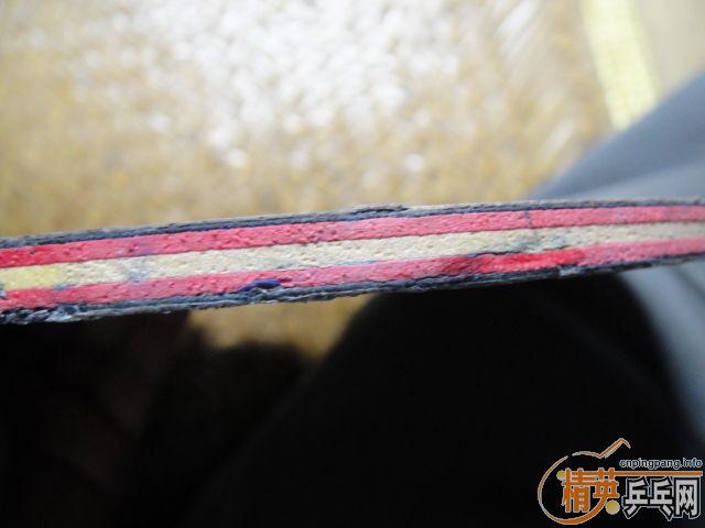 ����֧ŷ����̼��