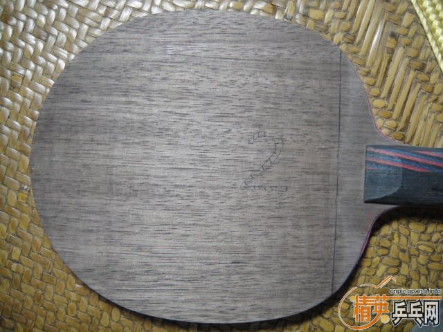 ����֧ŷ����̼��