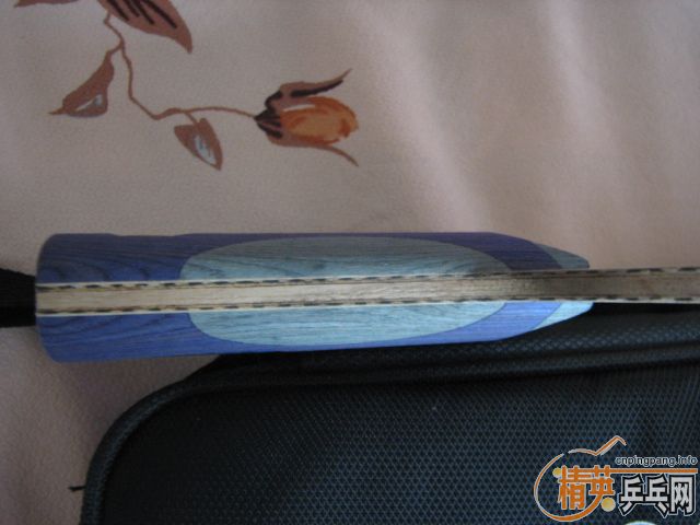 ����������ɭ̼�أ����߻���CL-CR,��������̼����...