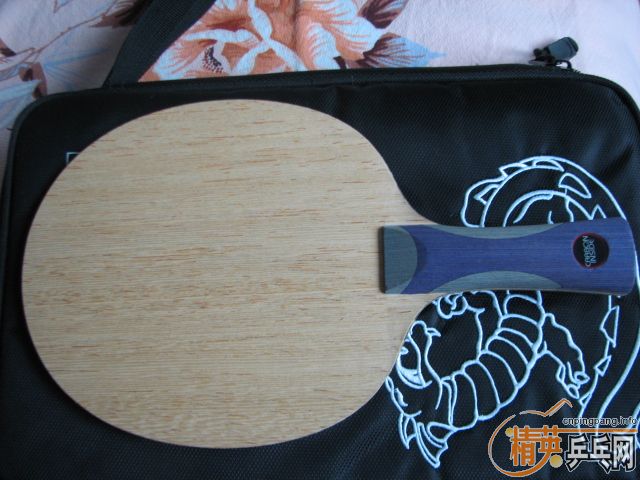 ����������ɭ̼�أ����߻���CL-CR,��������̼����...