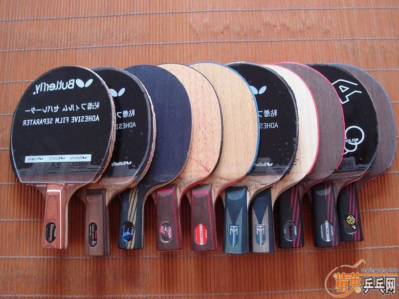 ֧�������� �л�õ��5