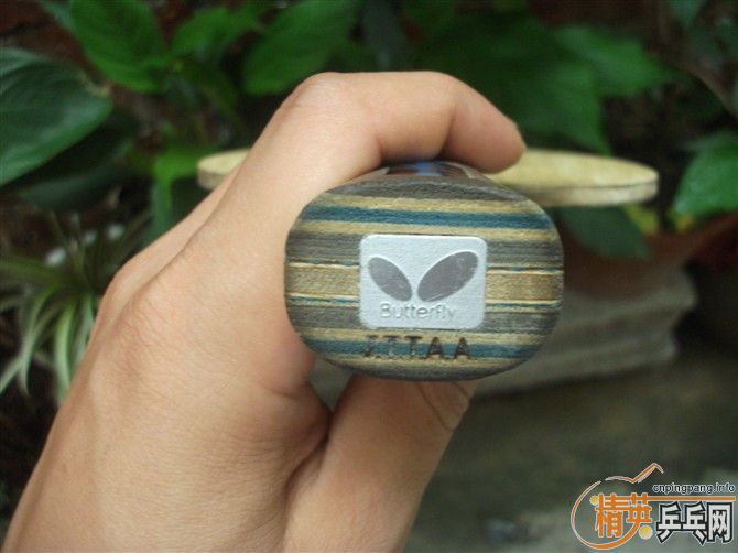 ��VIS��VIS LIGHT