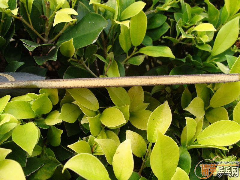 �ӳ�һ��07���������л���ˮ����320����