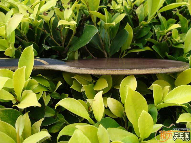 �ӳ�һ��07���������л���ˮ����320����